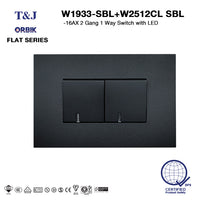T&J Flat Series Switch And Plate 2 Gang