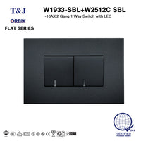 T&J Flat Series Switch And Plate 2 Gang