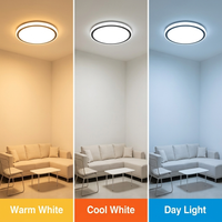 VALUE CEILING LIGHT